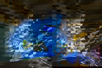 (1)Constructiewerker DC